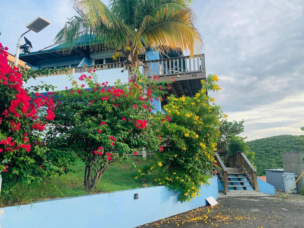 Coqui Beach Home, Culebra Isla Culebra Ngoại thất bức ảnh