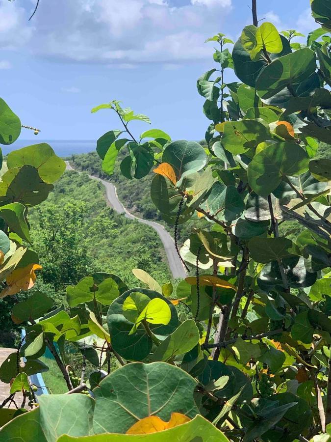 Coqui Beach Home, Culebra Isla Culebra Ngoại thất bức ảnh