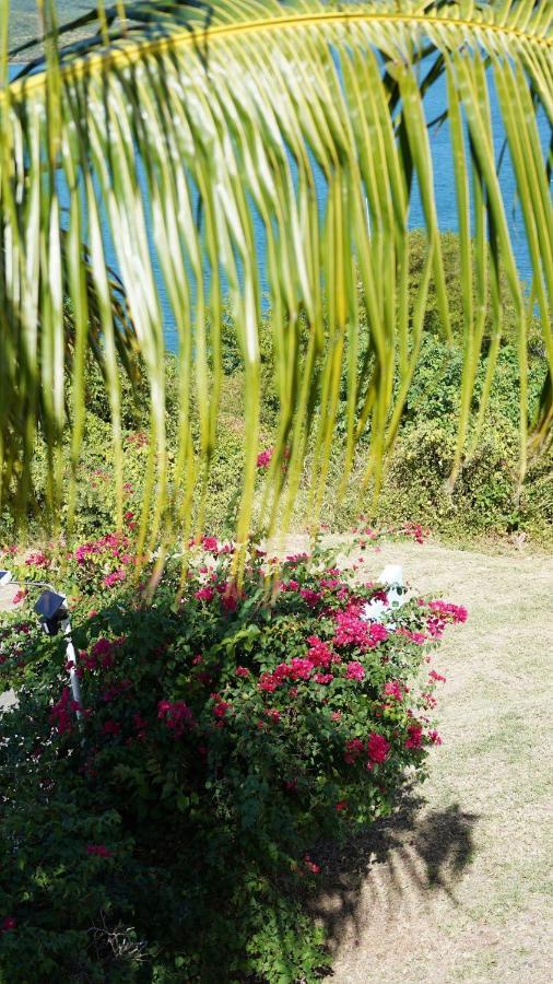 Coqui Beach Home, Culebra Isla Culebra Ngoại thất bức ảnh